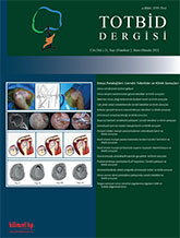 TOTBİD Derleme Dergisi