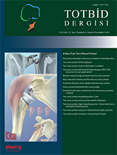 TOTBİD Derleme Dergisi