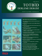 TOTBİD Derleme Dergisi