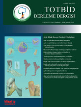 TOTBİD Derleme Dergisi